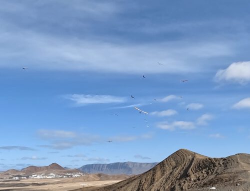 XXVIII Open Internacional de Canarias de Ala Delta FAI 2